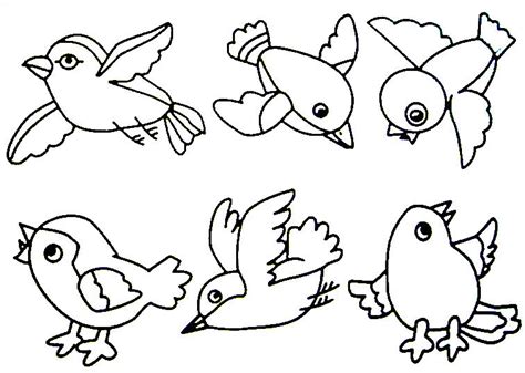 bird  coloring kids