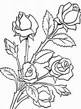 Bouquet Coloring Flower Roses Pages Rose Drawing Made Power Printable Print Draw Colorluna Bunch Color Flowers Coloriage Getdrawings Dessin Getcolorings sketch template