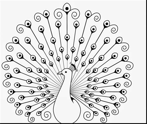 peacock coloring pages  kids visual arts ideas