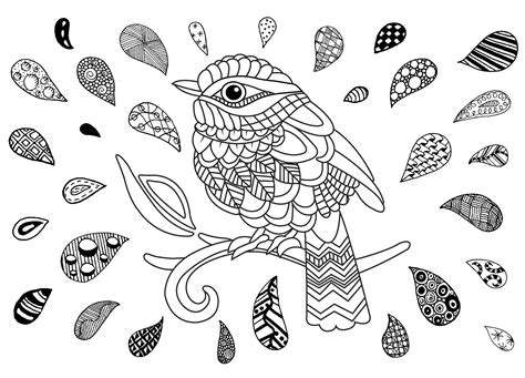 coloring pages birds  butterflies bellajapapu