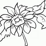Snapdragon Flower Getdrawings Drawing Coloring Pages sketch template