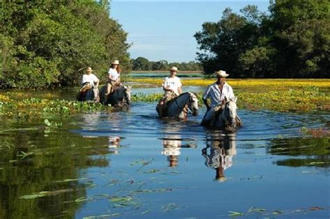 explore pantanal foto de miranda mato grosso do sul tripadvisor