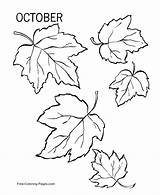 Coloring Pages Autumn sketch template