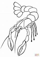 Krebs Langosta Kreeft Malvorlage Aragosta Kleurplaat Crawfish Homard Coloriage Crayfish Ausmalbilder Coloriages Dessin Colorier sketch template