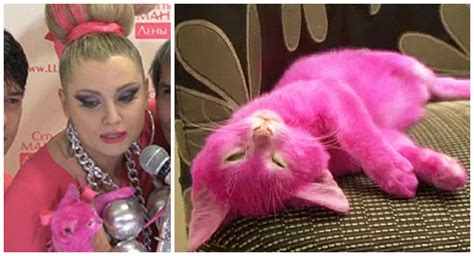 Cat Dies After Being Dyed By Pink Obsessed Owner Metro News