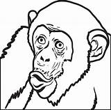 Chimpanzee Coloring Drawing Printable Pencil Face Pages Kids Getcolorings Getdrawings Clipartmag sketch template