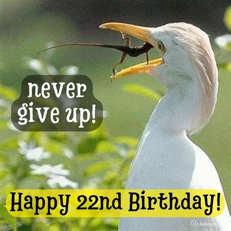 22nd Birthday Funny Ecard