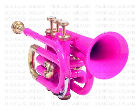 pocket trumpet pink nasir ali musicals