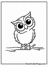 Owl Owls Iheartcraftythings sketch template