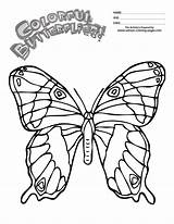 Butterfly Printouts Monarch Coloring Cartoon Cliparts Popular Clip Library Clipart Coloringhome sketch template