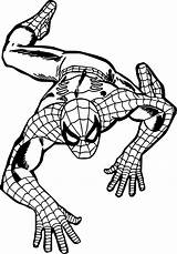 Spiderman Ausmalbilder Climb Spidey Coloriage Wecoloringpage sketch template