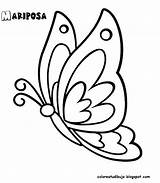 Mariposa Mariposas Colorea sketch template