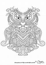 Coloring Pages Adults Abstract Owl Paisley Printable Adult Owls Colouring Coloriage Mandala Ado Pour Photobucket Drawings Zentangle Volwassenen Kleurplaat Uil sketch template