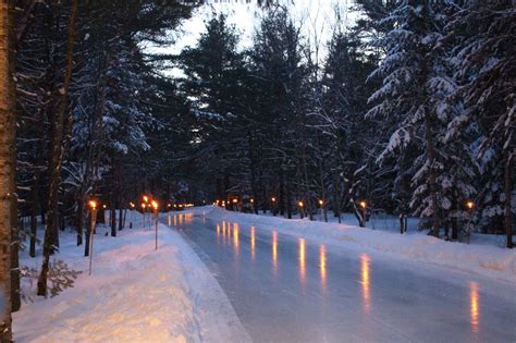 skate   magical glowing ice trail   forest north  toronto