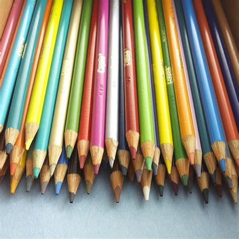 crayola 24 crayola coloured pencils kenzi online