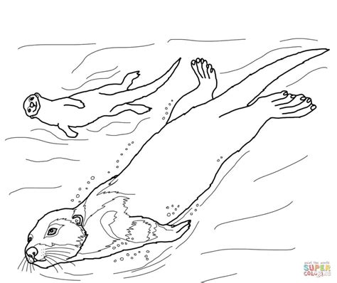 otter coloring pages otters coloring pages  coloring pages