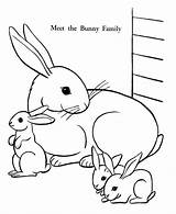 Bunny Coloring Easter Pages Bunnies Family Sheets Activity sketch template