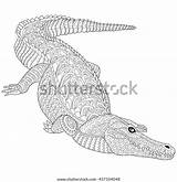 Zentangle Crocodile Alligator Stylized Vector Isolated sketch template