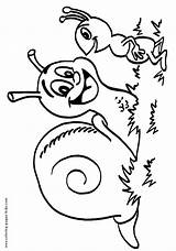Coloring Pages Snail Color Printable Snails Kids Ant Animal Drawing Sheet Getdrawings Sheets Found sketch template