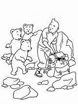Tintin Coloring Pages Kids Adventures Bears Family Colouring Tibet Kuifje Books Fun Color Printable Site Coloring2print Categories Similar sketch template
