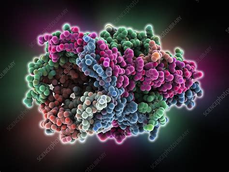 mscl ion channel protein structure stock image  science