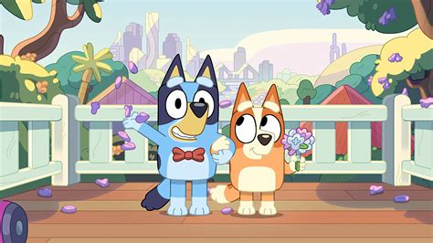 bluey abc iview