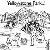 Coloring Park Yellowstone Pages National Printable Color Getcolorings Drawing Kids Getdrawings Print sketch template