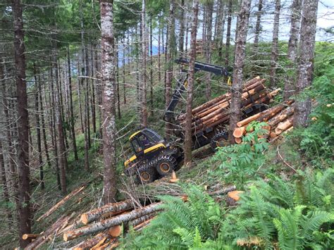technology  harvesting timber environment nrtodaycom
