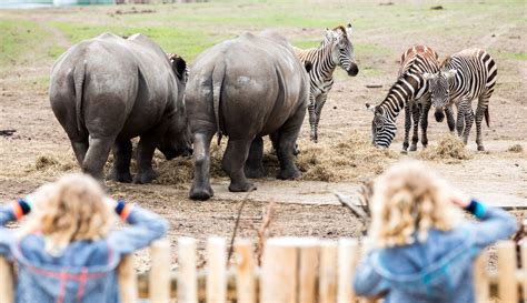 safaripark beekse bergen hollandcom