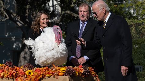 ‘no fowl play biden pardons a pair of thanksgiving turkeys the new