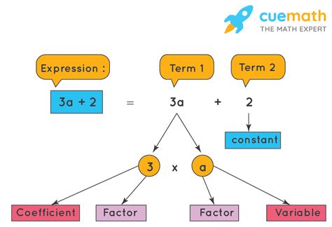 expression term factor coefficient definition  examples cuemath