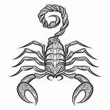 Scorpion Scorpio Zentangle Traits Scorpions Personality Astrologybay Scorpione Vectortatu sketch template