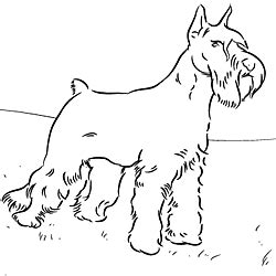 pin  suzyq harris  printable coloring pages dog coloring book