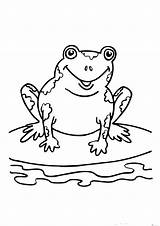 Frog Coloring Pages Printable Kids Frogs Print Cute Sheets Princess Colouring Clipart Bestcoloringpagesforkids Book Speckled Library Preschool Freekidscoloringpage Pix sketch template