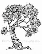 Bonsai Tree Coloring Drawing Pages Trees Printable Adult Etsy Colouring Getdrawings sketch template
