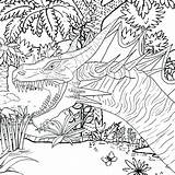 Detailed Coloring Pages Kids Older Very Printable Adults Sheets Print Really Getcolorings Getdrawings Colorings Color Dragon sketch template