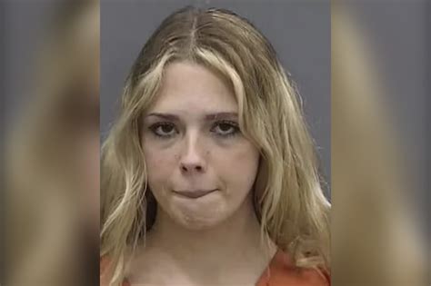 Florida Woman Alyssa Ann Zinger Posed As A Teenager To Harass High