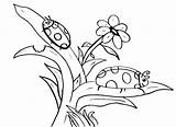 Coloring Ladybug Pages Print Popular sketch template