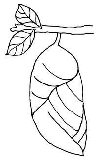 pupa butterfly coloring book coloring books coloring pages minnie