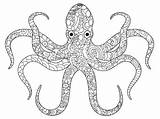 Octopus Coloring Adults Book Vector Sea Zentangle Adult Animal Dreamstime sketch template