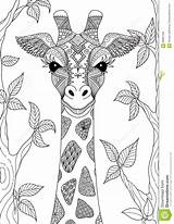 Giraffe Mandala sketch template