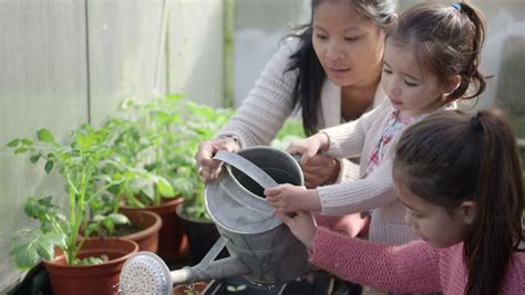 mother teaching daughters in greenhouse stock footage