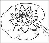 Lily Coloring Water Pages Flowers Lilies Flower Patterns Coloritbynumbers Drawing Online Printable Pond Painting Book Kids Sheets Monet Related Visit sketch template