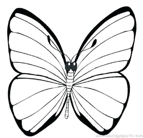 butterfly outline coloring page  getdrawings