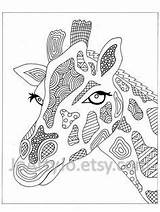 Coloring Zentangle Adult Roasted sketch template