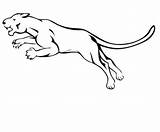 Colorare Dibujos Lion Disegni Attacca Che Atacando Supercoloring Pantera Kostenlos Malvorlagen Ausdrucken Ausmalen Pumas Bambini Mammiferi Printmania Lions sketch template