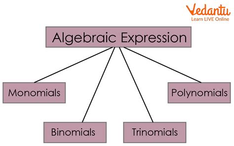 terms  algebraic expressions learn  solve questions