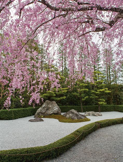 japan turns pink design agenda phaidon