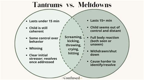 tantrum  meltdown difference   happen   worry
