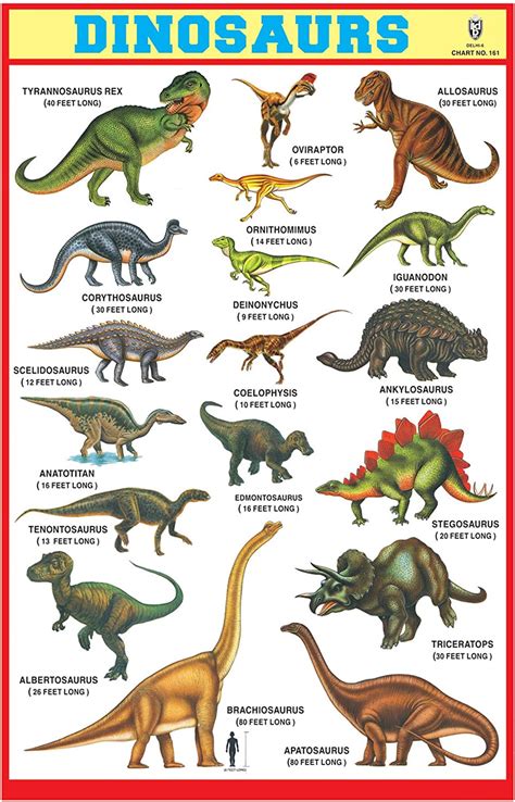 poster dinosaur  chart dinosaur pictures dinosaur types dinosaur